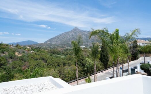 Villas Lomas of Marbella Club