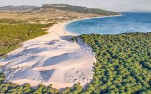 Plot in Tarifa